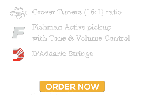 The New Festival Series GT Guitars include 16:1 Grover Tuners, A fishman active pickup system with tone and volume control, and factory D'addario strings