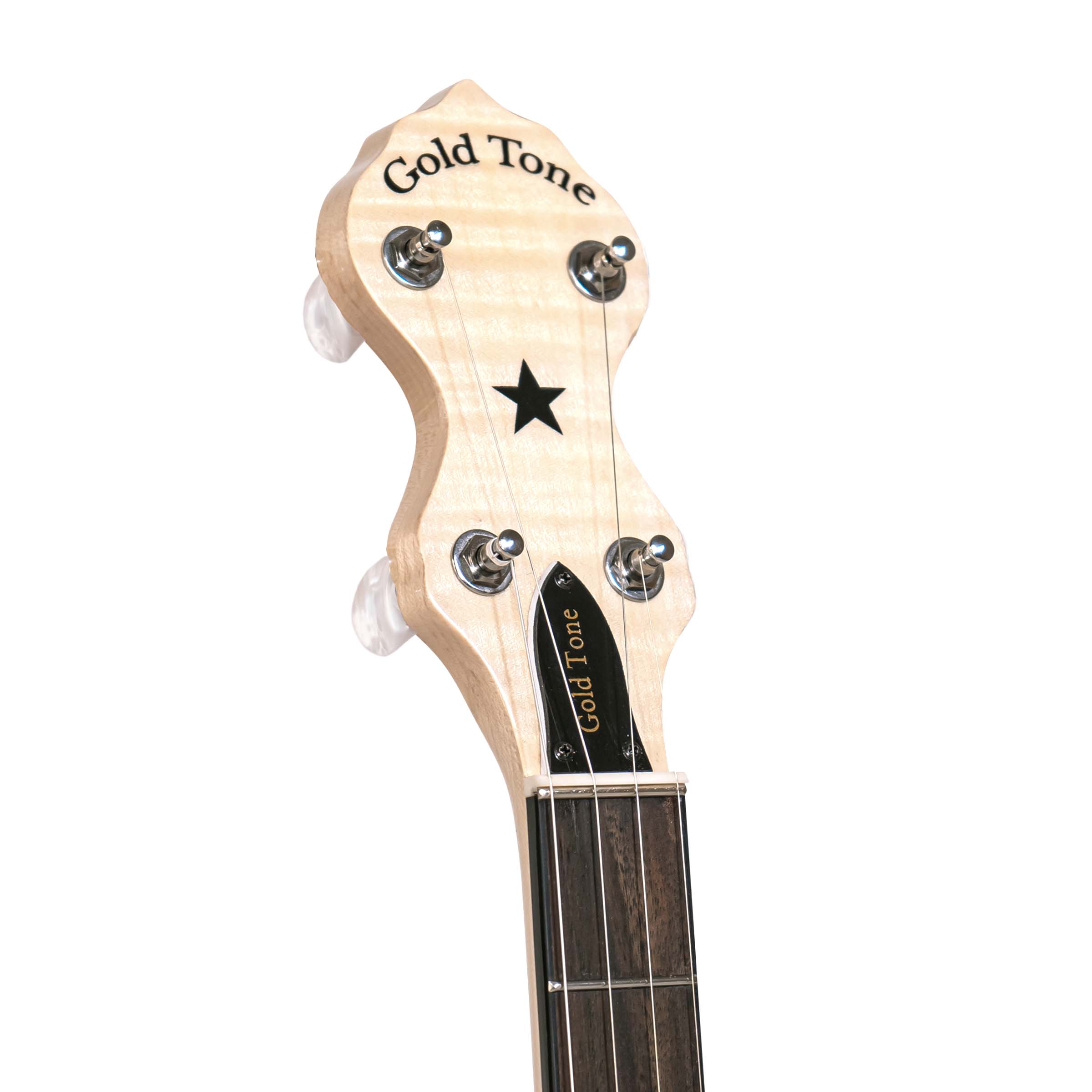 Gold Tone CC-Carlin 12 – Fiddler's Green Music Shop