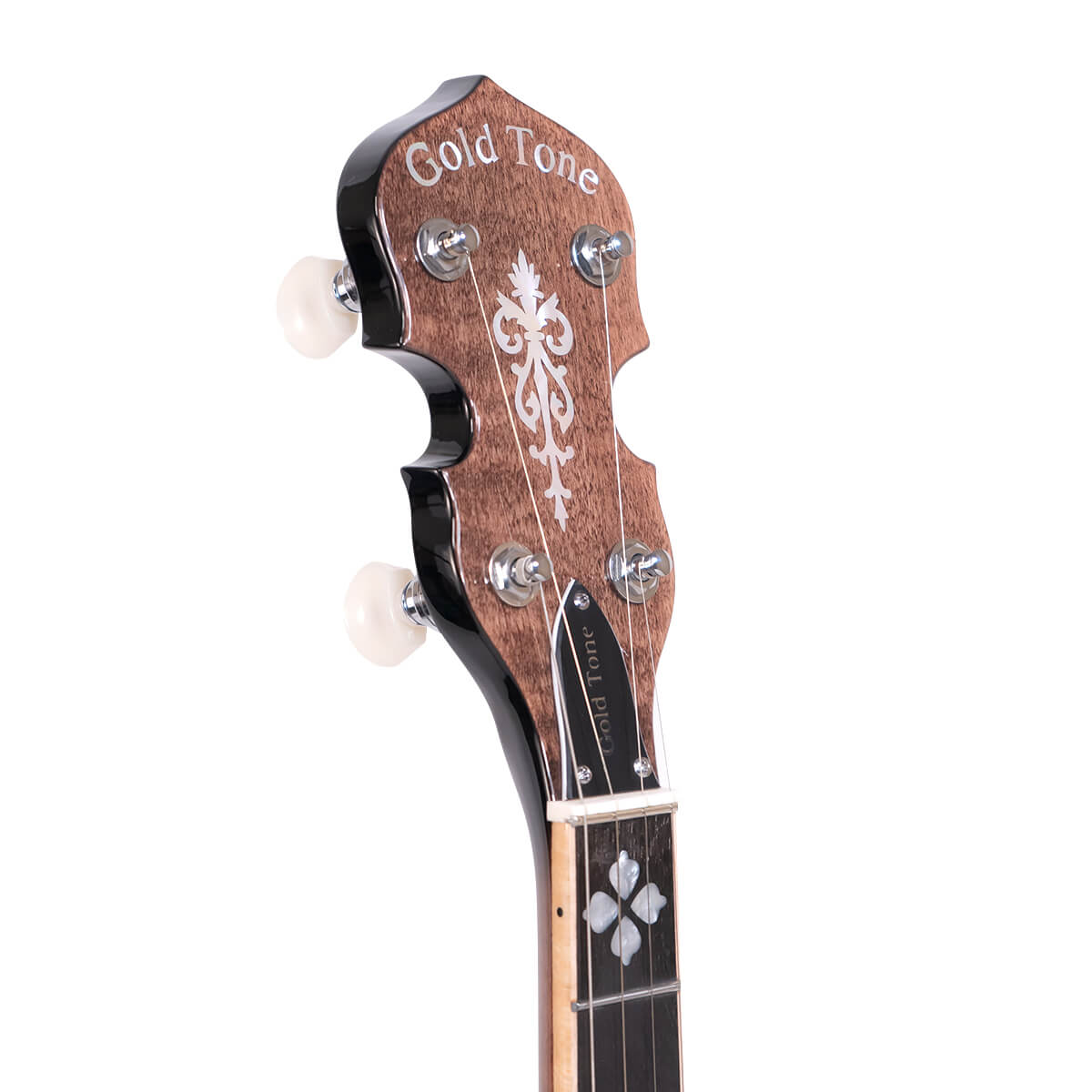 Mastertone™ OB-250AT: Orange Blossom Banjo Arch Top