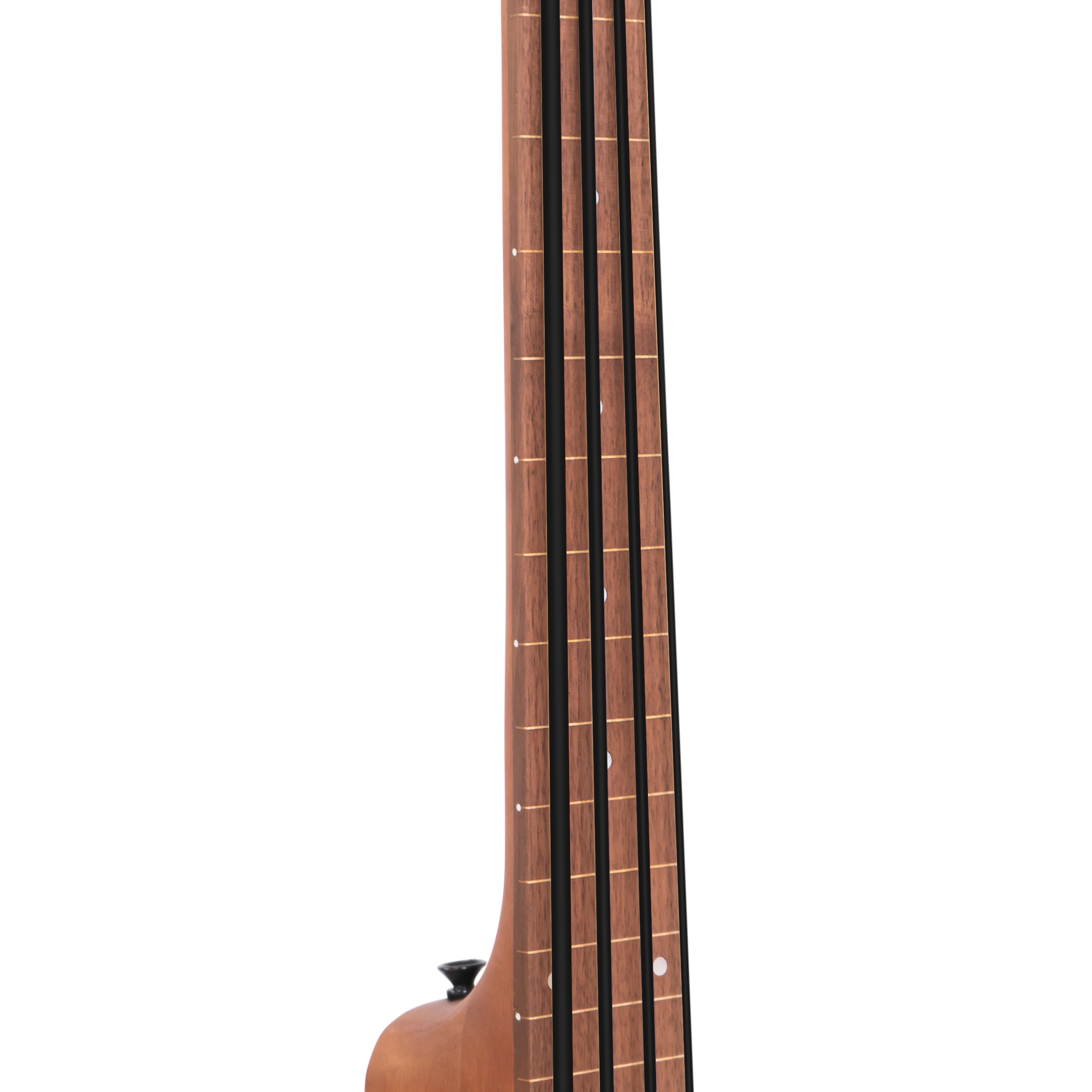 M-BassFL: Fretless Acoustic-Electric MicroBass | Gold Tone Folk 