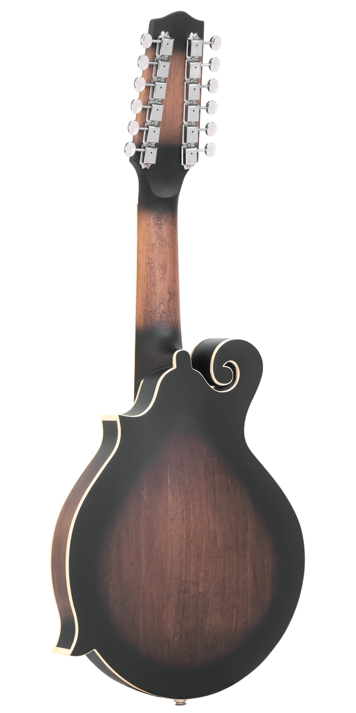 mandolin guitar