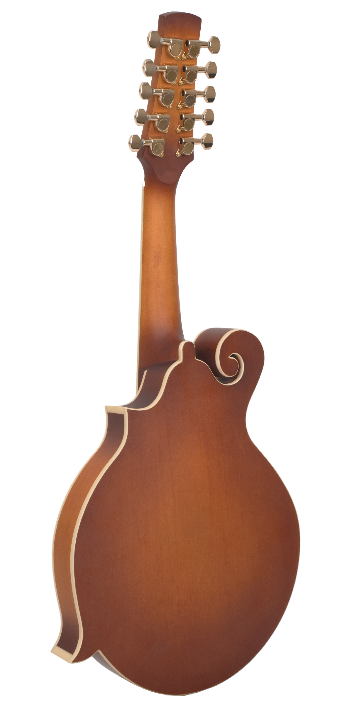 F-10: 10-String F-Style Mandolin