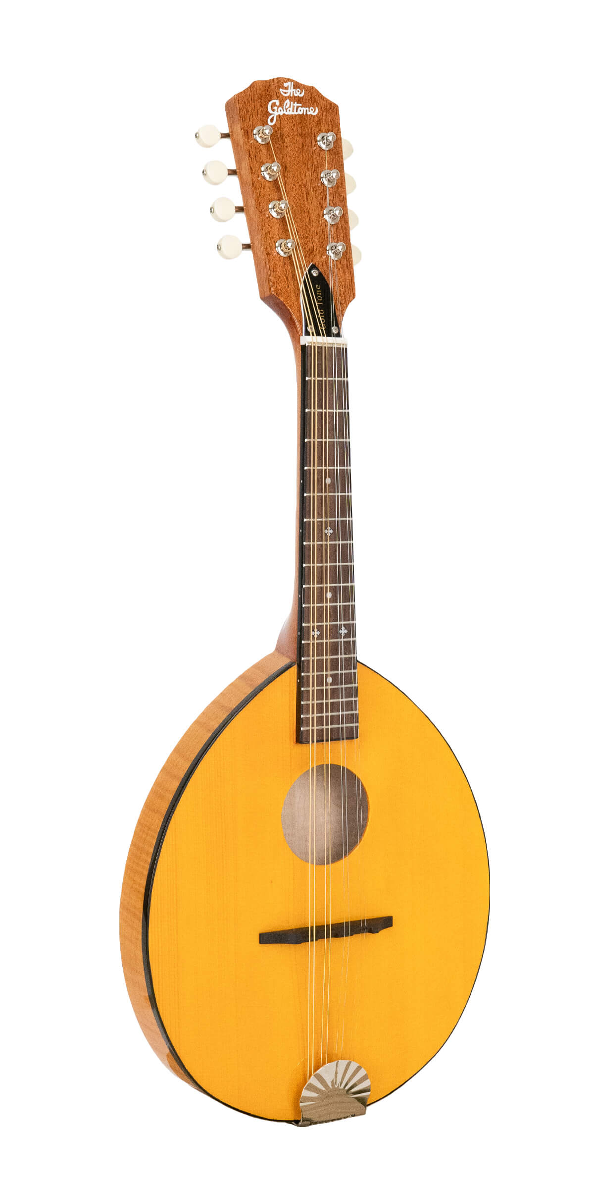 F-10: 10-String F-Style Mandolin | Gold Tone Folk Instruments